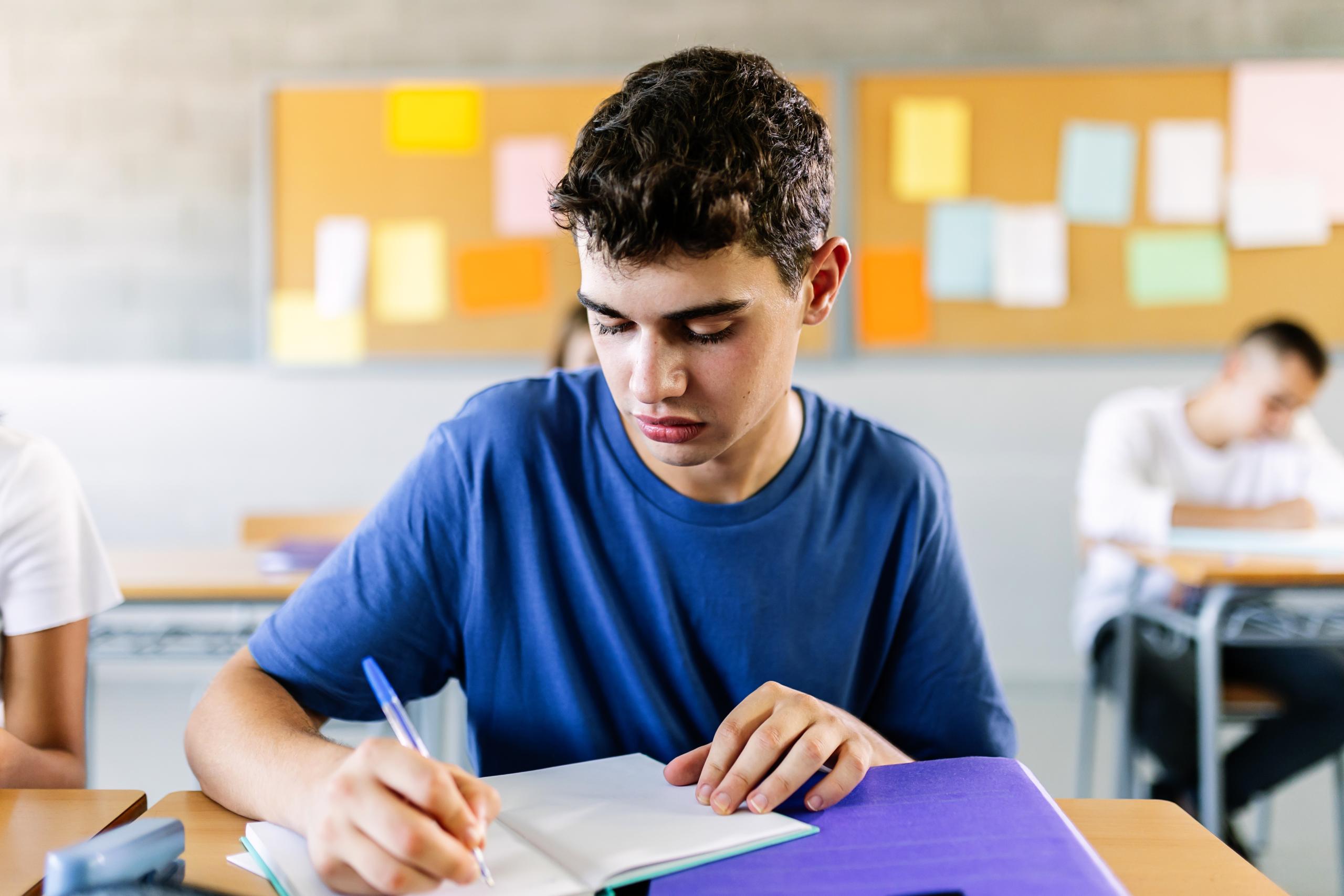 ACT English for advanced learners - Score More Insights
